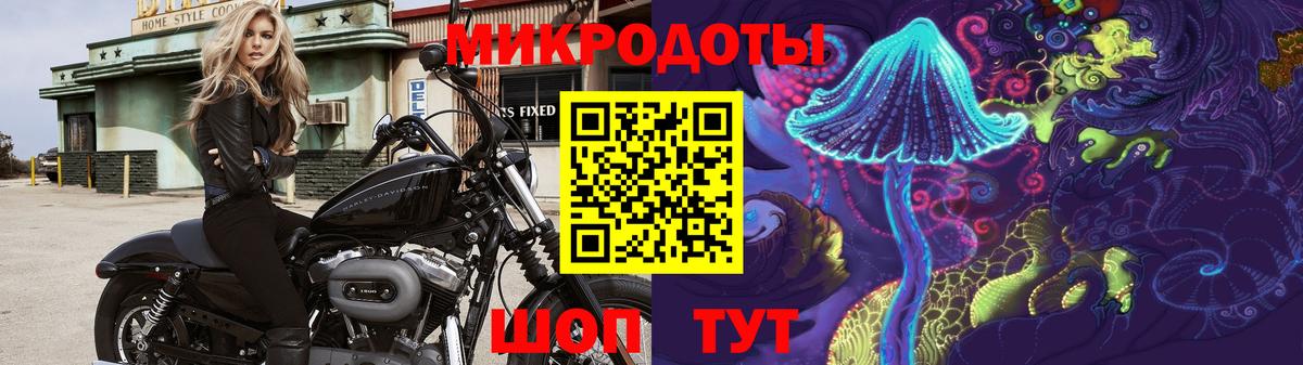 Баксан  Галлюциногенные грибы мицелий  Вход с VPN 